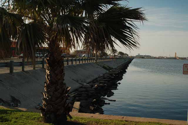 galveston's 61st street